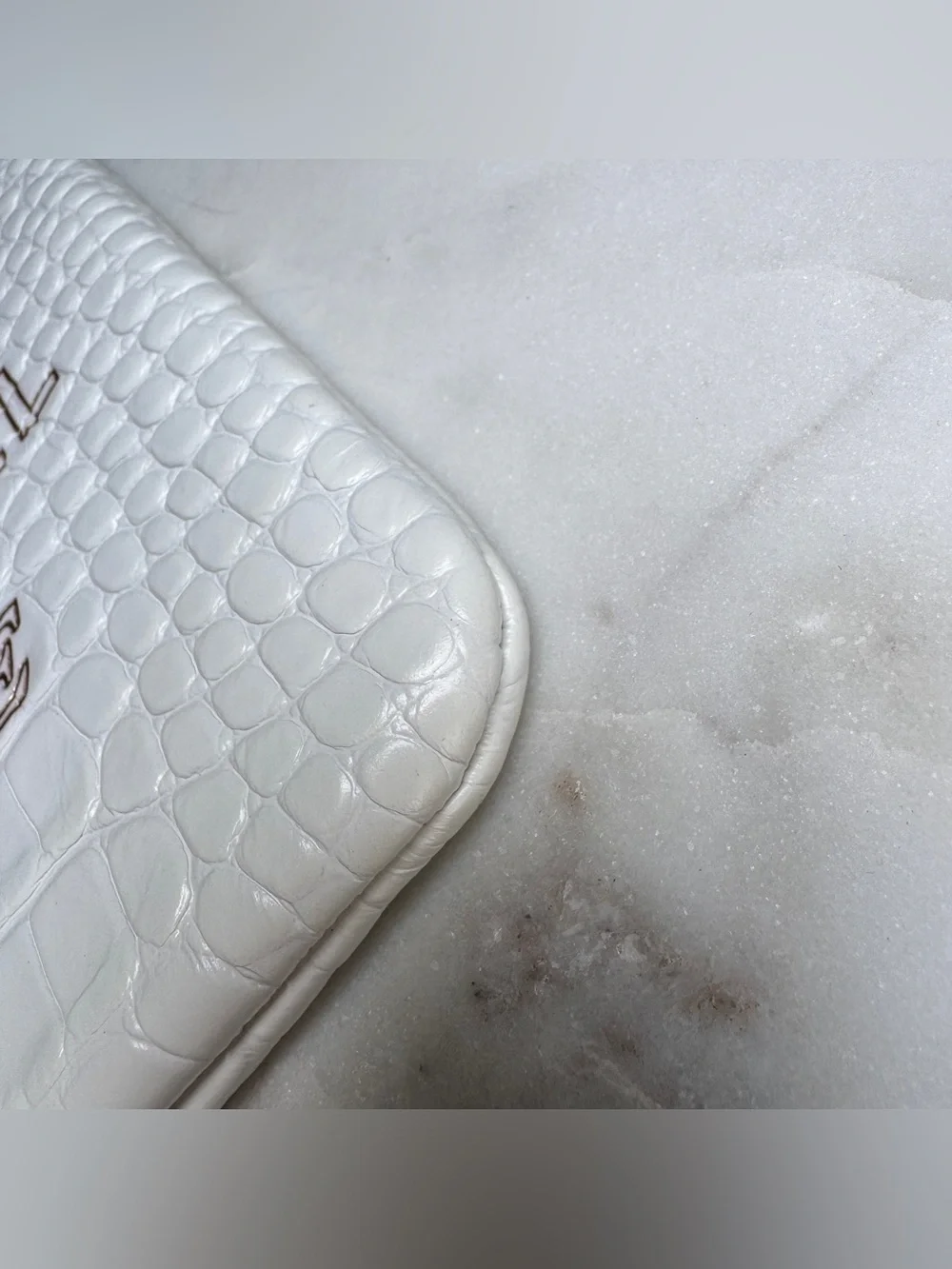 Chanel Croc Embossed Leather O-Case